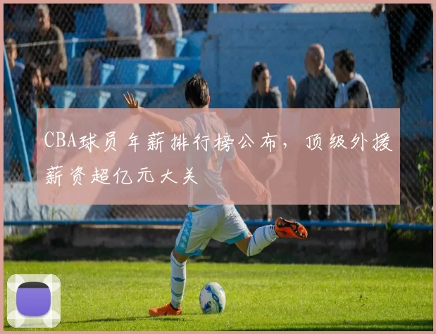 CBA球员年薪排行榜公布，顶级外援薪资超亿元大关