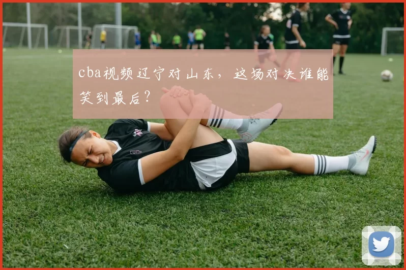 cba视频辽宁对山东，这场对决谁能笑到最后？